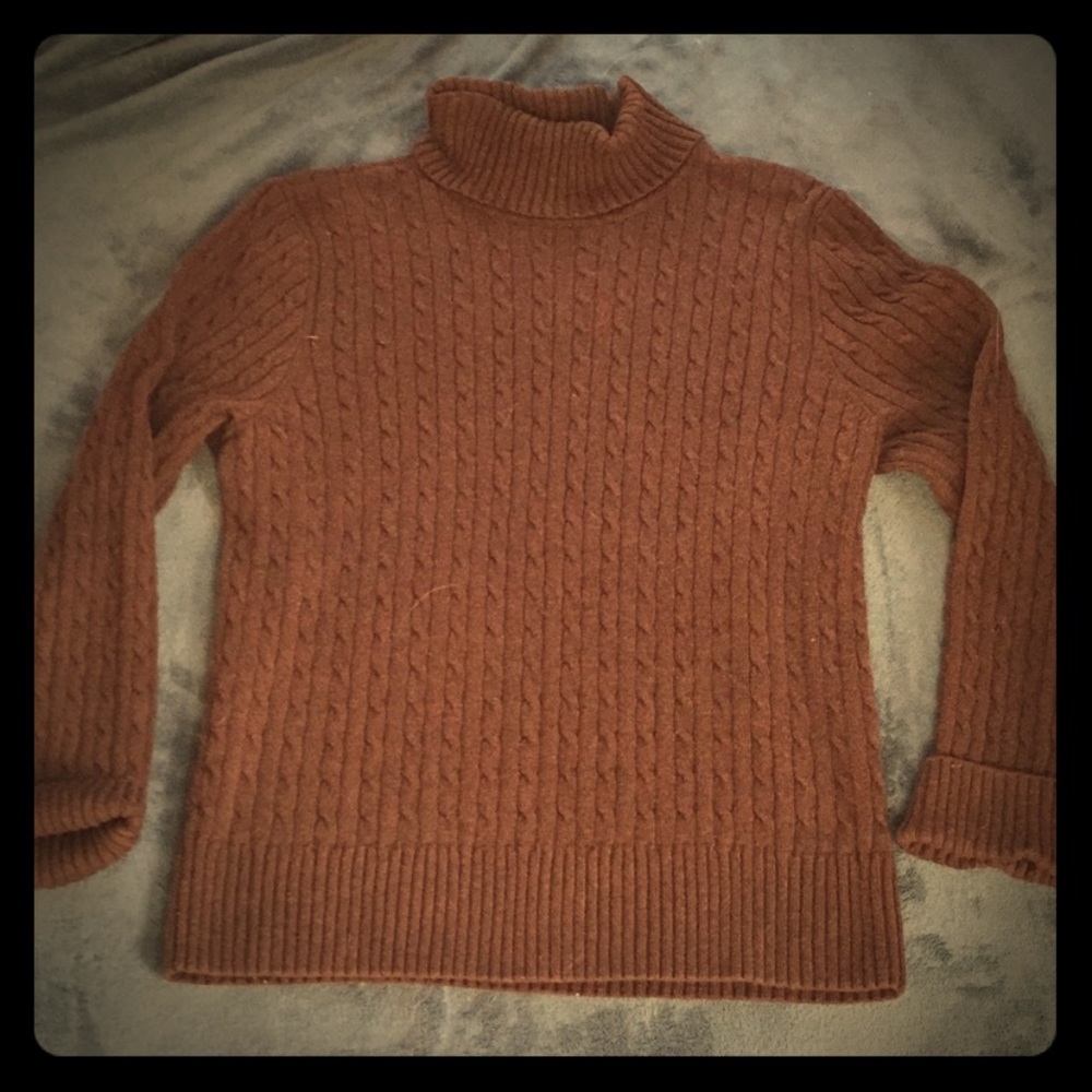Brown Turtle Neck